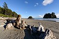 * Nomination Driftwood, Second Beach, Olympic NP. --King of Hearts 20:45, 1 September 2021 (UTC) * Promotion  Support Good quality. --Halavar 21:26, 1 September 2021 (UTC)
