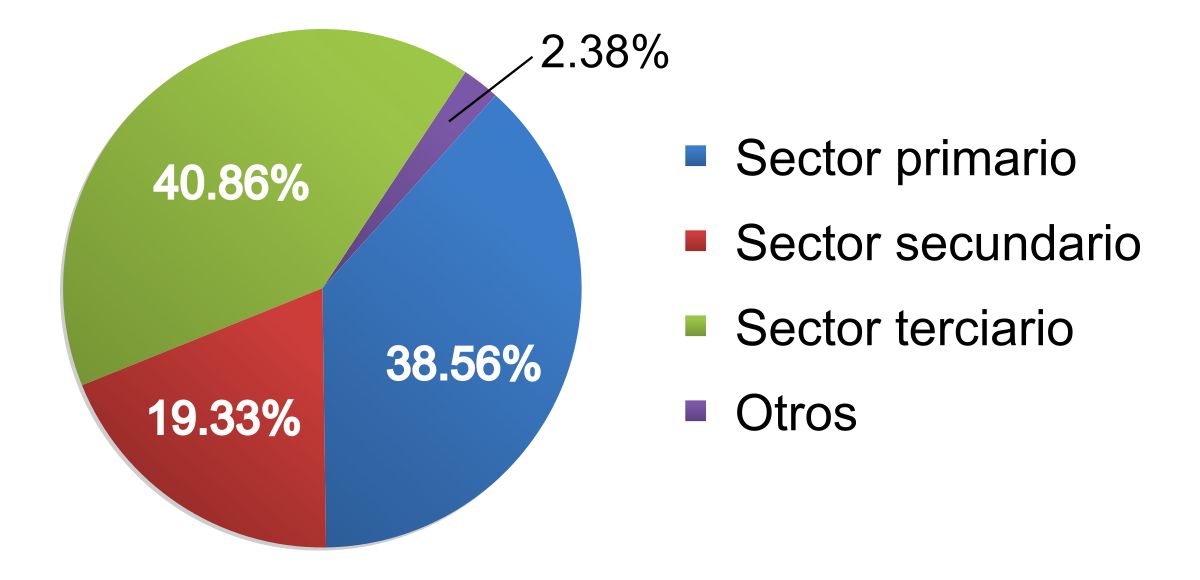 Cual es el sector terciario