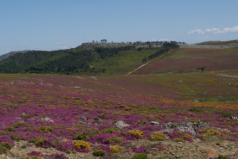 File:Serra da Freita e Arada. GeoParque Arouca 69.jpg