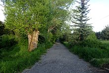 The botanical garden in Sevan