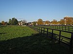 Thumbnail for File:Sheep by the vet school - geograph.org.uk - 4805732.jpg