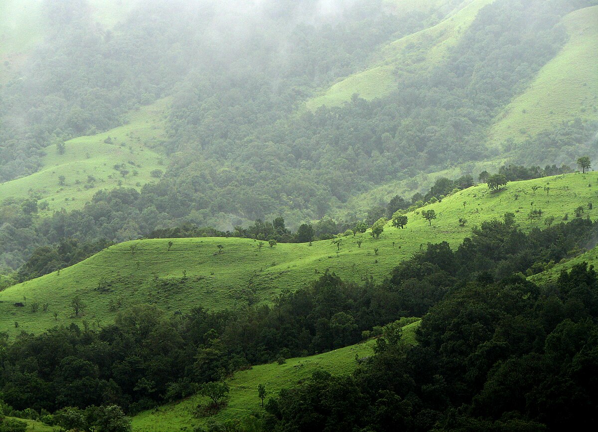 1200px Shola Grasslands and forests in the Kudremukh National Park%2C Western Ghats%2C Karnataka