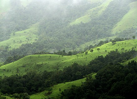 Western Ghats are another bio-active forest cover of India. Above Kudremukh National Park, Karnataka.
