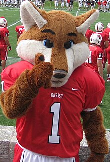 Frankie the red fox posing at Tenney Stadium on the Marist College campus Shooter.jpg