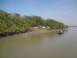 Shoreline of the Ganges River, 21 January 2015.jpg