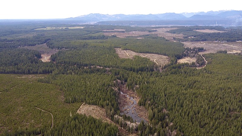 File:Shumocher Creek Natural Area Preserve.jpg