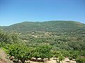 Miniatura para Sierra de San Bernabé