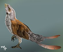 Life restoration Sinornis2.jpg