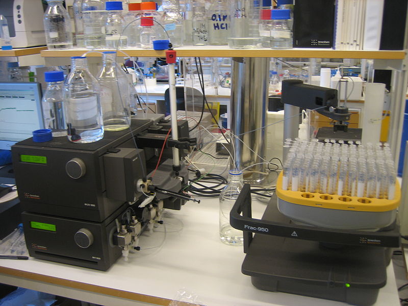 File:Size Exclusion Chromatography to separate Proteins.jpg