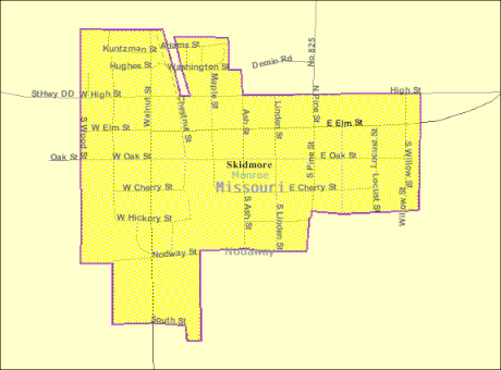 Skidmore (Missouri)