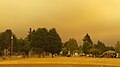 Smoky sky from wildfires (2020)