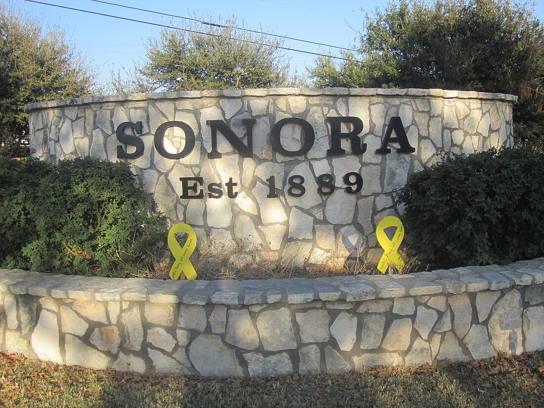 Sonora (Texas)