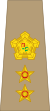 South Africa-Army-OF-5-1961.svg