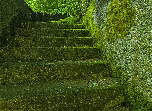 Stairs to a private property in Berg at the Lake Starnberg