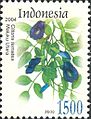 Penggambaran telang ternate (clitoria ternatea) pada perangko Indonesia edisi terbitan tahun 2004