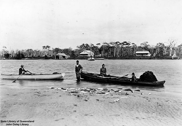 Fish haul, 1907