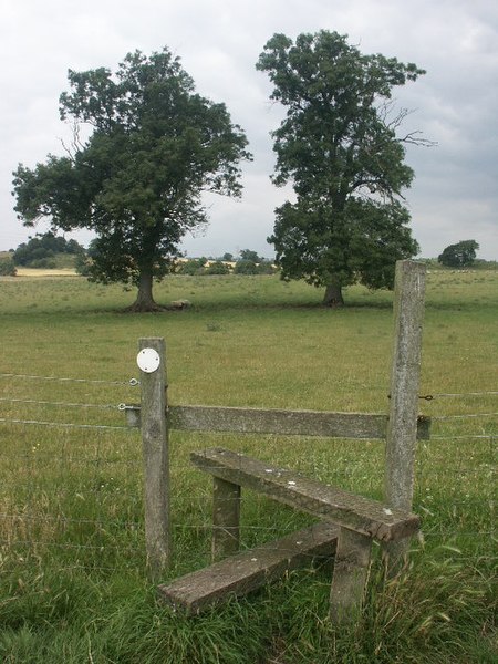 File:Stile, trees and sheep, Venta Icenorum - geograph.org.uk - 79138.jpg