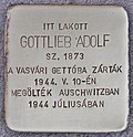 Stumbling stone for Adolf Gottlieb (Egervar) .jpg