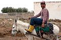 Studfarm in Turkmenistan - Flickr - Kerri-Jo (33).jpg