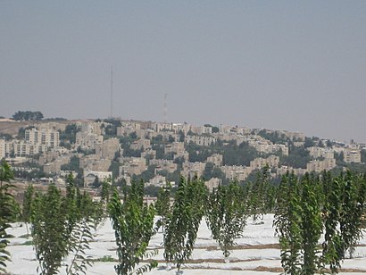 איך מגיעים באמצעות תחבורה ציבורית  לתלפיות מזרח? - מידע על המקום