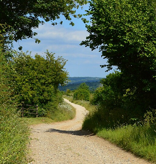 The Ridgeway, Aldworth, Berkshire - geograph.org.uk - 4548470