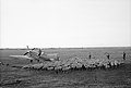 The Royal Air Force in Italy, 1943-45 CNA4132.jpg