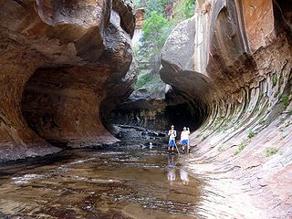 <span class="mw-page-title-main">The Subway (Zion National Park)</span> Landform in Zion National Park, Utah, United States