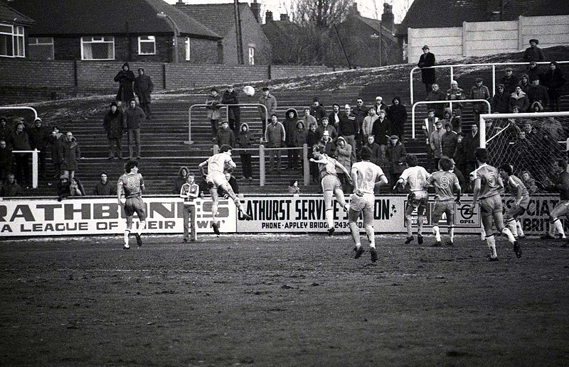 File:The Town End at Springfield Park (geograph 3859558).jpg