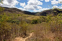 El valle donde se ubicará BINGO.jpg