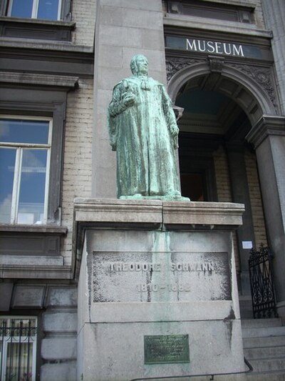 Bronze statue of Theodor Schwann at the entrance of the Institute of Zoology, University of Liege, Belgium