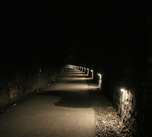 Tidenham Tunnel - 52015376811