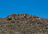 Torre de Castil de Tierra