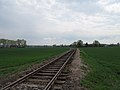 Čeština: Trať č. 062 ve směru k Lovčicům (Chlumec nad Cidlinou - Křinec). Okres Hradec Králové, Česká republika. English: Railroad 062 (Chlumec nad Cidlinou - Křinec) near Lovčice village, Hradec Králové District, Czech Republic.