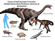 Selected fauna of the Trossingen Formation Trossingen formation NT.jpg