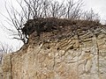 Čeština: Fragmentace skály v Tuchořicích. Okres Louny, Česká republika. English: Rock fragmentation in Tuchořice village, Louny District, Czech Republic.