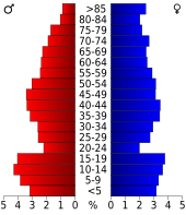 Bevolkingspiramide Runnels County