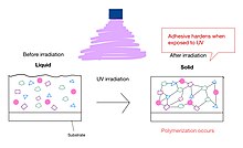 Polymerization and cross linking occurs during UV curing UV Curing Process.jpg