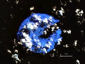 Fotografía satelital de Ureparapara