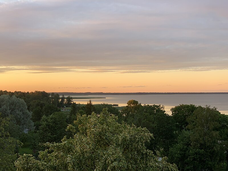 File:Võrtsjärv - 49523845547.jpg