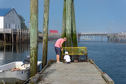 Verne and Gabriel studying a lobster trap, Lubec, Maine, US