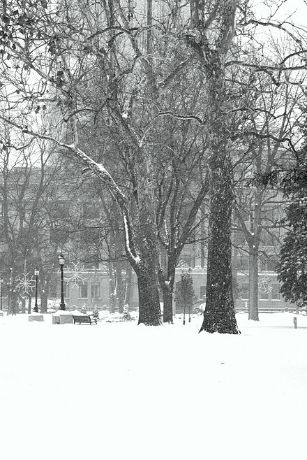 Snow in Victoria Park