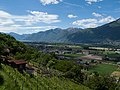a few vineyards above of Piano di Magadino, Gerre di Sotto (Locarno), in background Lake Maggiore