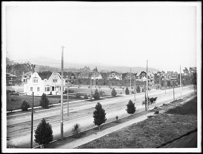 From a rooftop at Dale Street (or Orange Street?), ca.1905