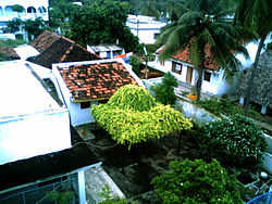 Rajula Tallavalasa village