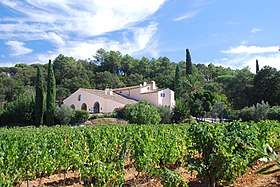 Illustrasjonsbilde av artikkelen Côtes-de-Provence