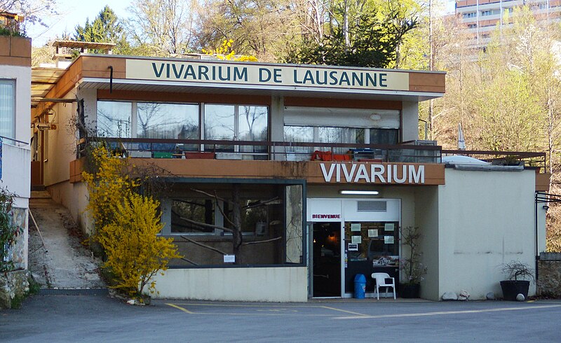 File:Vivarium de Lausanne 1.jpg
