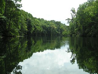 <span class="mw-page-title-main">Wakulla River</span> River in Florida, United States of America