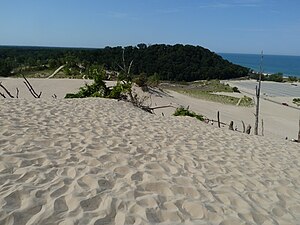 View of a dune