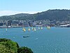 Wellington-harbour.jpg