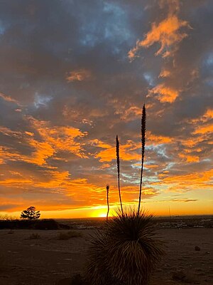 El Paso, Texas